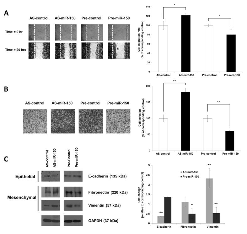 https://cdn.ncbi.nlm.nih.gov/pmc/blobs/4a47/5607379/2cdadaaf5eaf/41598_2017_10695_Fig3_HTML.jpg