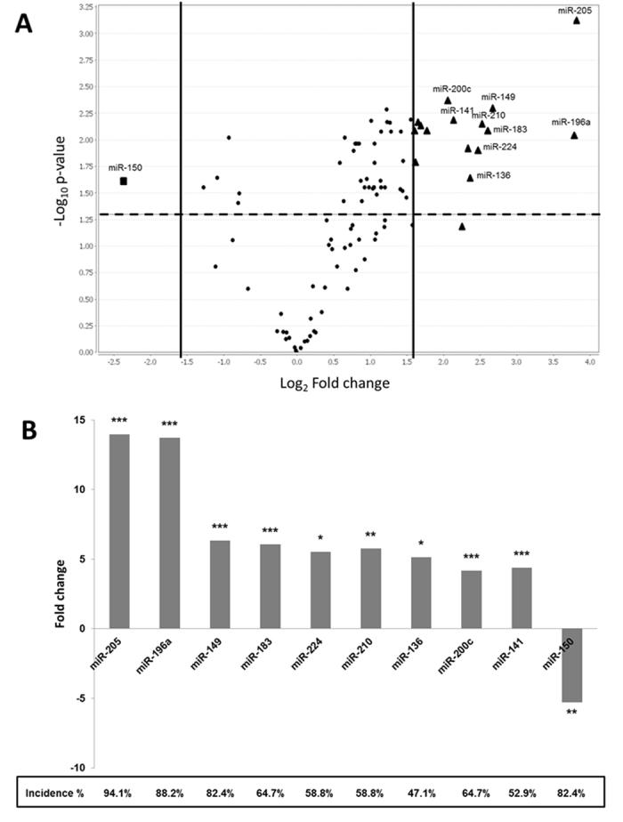 https://cdn.ncbi.nlm.nih.gov/pmc/blobs/4a47/5607379/ea8e2db46895/41598_2017_10695_Fig1_HTML.jpg