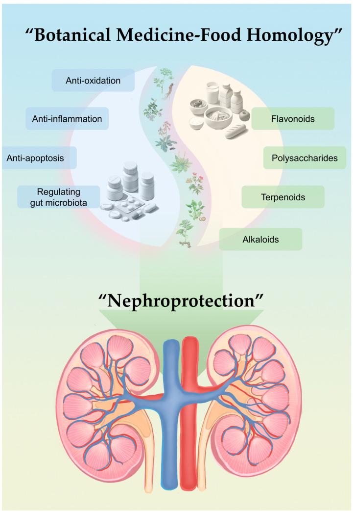 https://cdn.ncbi.nlm.nih.gov/pmc/blobs/4a48/11510533/8cc6f701df1f/nutrients-16-03530-g001.jpg