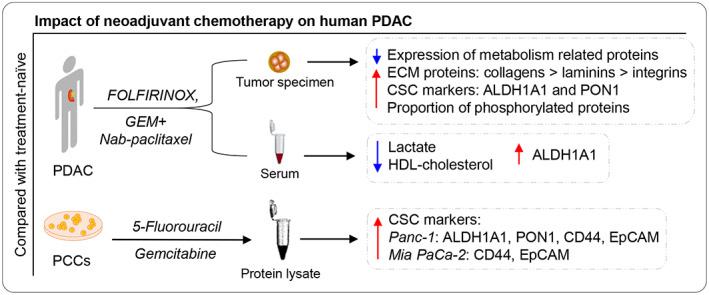 https://cdn.ncbi.nlm.nih.gov/pmc/blobs/4a48/9812839/cf3904f3ddcb/MOL2-17-59-g002.jpg