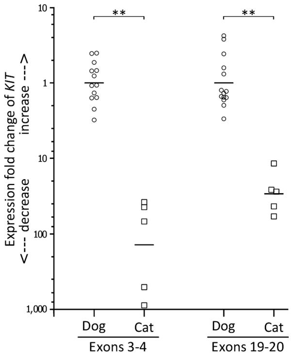https://cdn.ncbi.nlm.nih.gov/pmc/blobs/4a4a/5038442/0d94beecdd13/ol-12-04-2485-g00.jpg