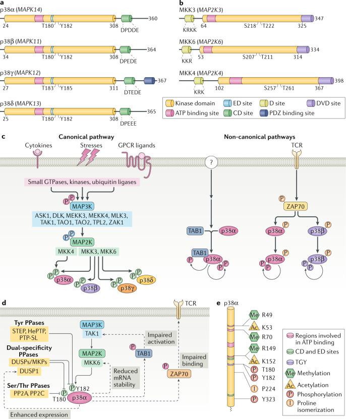https://cdn.ncbi.nlm.nih.gov/pmc/blobs/4a4a/7838852/c54a4c09459d/41580_2020_322_Fig1_HTML.jpg