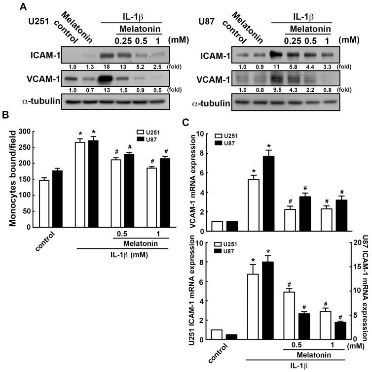 https://cdn.ncbi.nlm.nih.gov/pmc/blobs/4a4b/6627125/ff21eb7d4c0b/nutrients-11-01343-g003.jpg