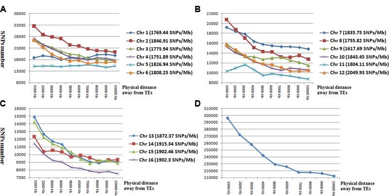 https://cdn.ncbi.nlm.nih.gov/pmc/blobs/4a4e/6380268/869267269b69/fpls-10-00130-g003.jpg