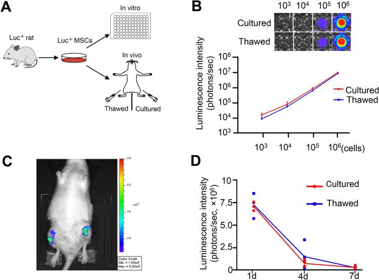 https://cdn.ncbi.nlm.nih.gov/pmc/blobs/4a4e/8102597/850d50f99ad9/41598_2021_89239_Fig2_HTML.jpg