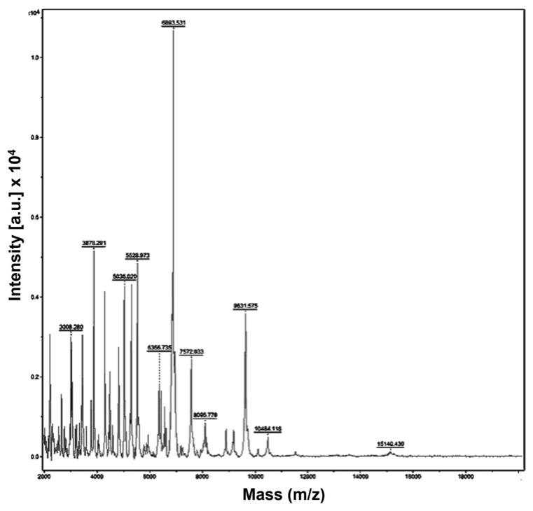 https://cdn.ncbi.nlm.nih.gov/pmc/blobs/4a4f/11508964/f643f5f94056/jfb-15-00309-g005.jpg