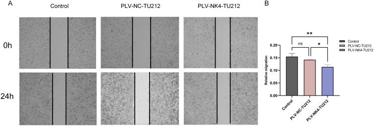https://cdn.ncbi.nlm.nih.gov/pmc/blobs/4a4f/12355930/4995e8028c92/fonc-15-1553626-g003.jpg