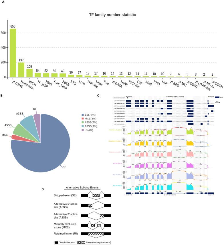 https://cdn.ncbi.nlm.nih.gov/pmc/blobs/4a4f/12355930/de453714c21d/fonc-15-1553626-g006.jpg