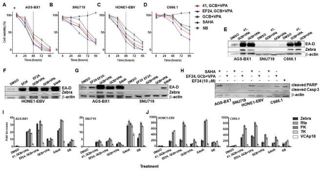 https://cdn.ncbi.nlm.nih.gov/pmc/blobs/4a4f/5923344/78fe0e28212a/cancers-10-00089-g006.jpg