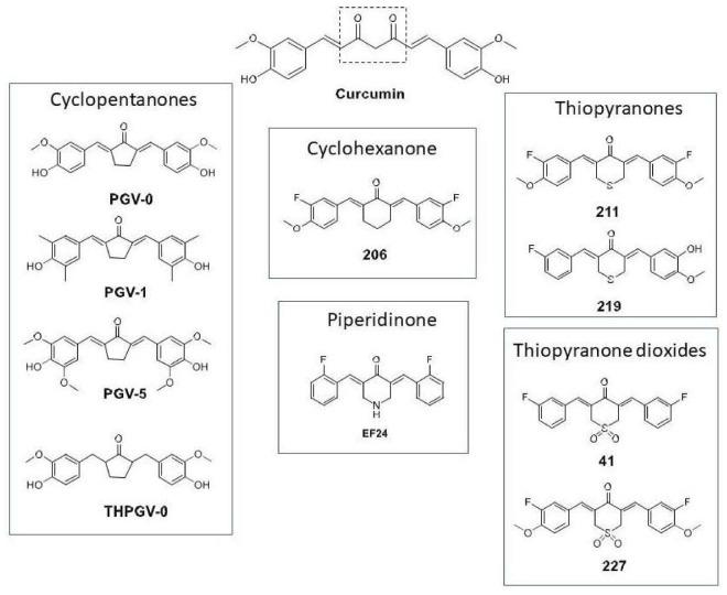 https://cdn.ncbi.nlm.nih.gov/pmc/blobs/4a4f/5923344/7d3f2c08a92c/cancers-10-00089-g001.jpg
