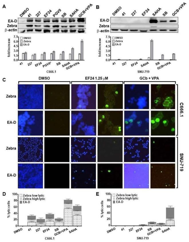 https://cdn.ncbi.nlm.nih.gov/pmc/blobs/4a4f/5923344/85588268ac7b/cancers-10-00089-g004.jpg
