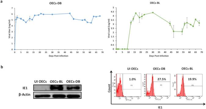 https://cdn.ncbi.nlm.nih.gov/pmc/blobs/4a51/10555822/241add311c75/41388_2023_2813_Fig1_HTML.jpg