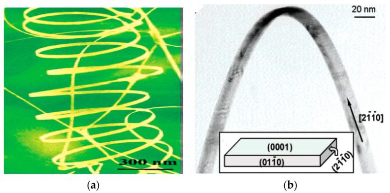 https://cdn.ncbi.nlm.nih.gov/pmc/blobs/4a52/7700383/0e837075dbe0/ijms-21-08836-g012.jpg