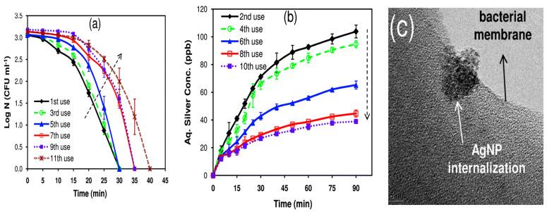 https://cdn.ncbi.nlm.nih.gov/pmc/blobs/4a52/7700383/42cc7bb73eb6/ijms-21-08836-g031.jpg