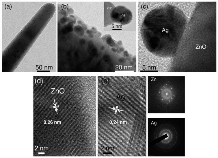 https://cdn.ncbi.nlm.nih.gov/pmc/blobs/4a52/7700383/45c767e80472/ijms-21-08836-g020.jpg