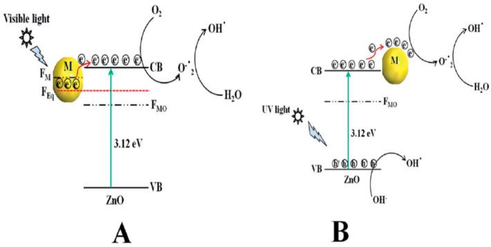 https://cdn.ncbi.nlm.nih.gov/pmc/blobs/4a52/7700383/b43b1d38959b/ijms-21-08836-g005.jpg