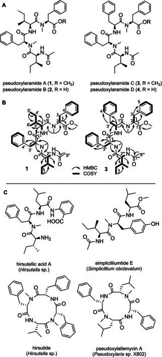 https://cdn.ncbi.nlm.nih.gov/pmc/blobs/4a53/7689812/44a6b5d0c3e3/CBIC-21-2991-g002.jpg