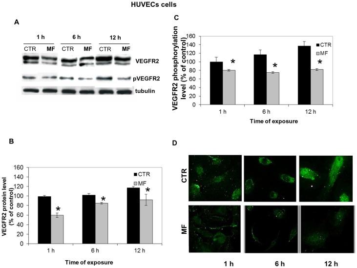 https://cdn.ncbi.nlm.nih.gov/pmc/blobs/4a54/3828379/42f8b043897d/pone.0079309.g005.jpg
