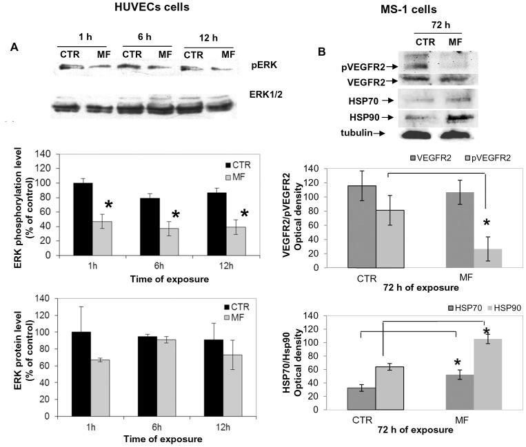 https://cdn.ncbi.nlm.nih.gov/pmc/blobs/4a54/3828379/81e6c0d14286/pone.0079309.g006.jpg