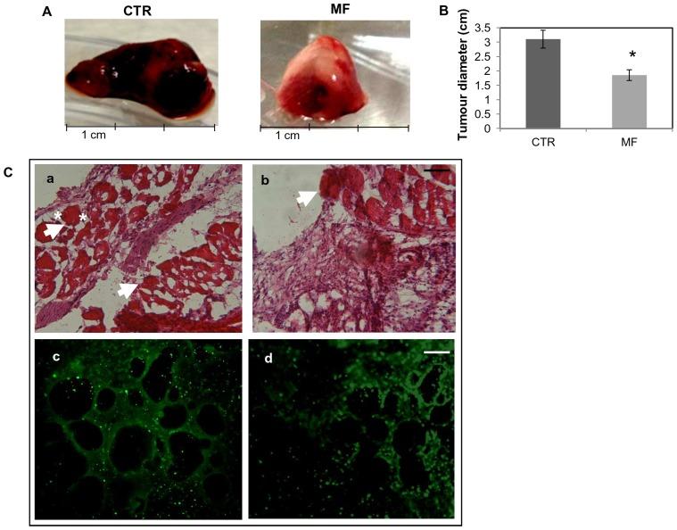 https://cdn.ncbi.nlm.nih.gov/pmc/blobs/4a54/3828379/d8743ce414fd/pone.0079309.g004.jpg