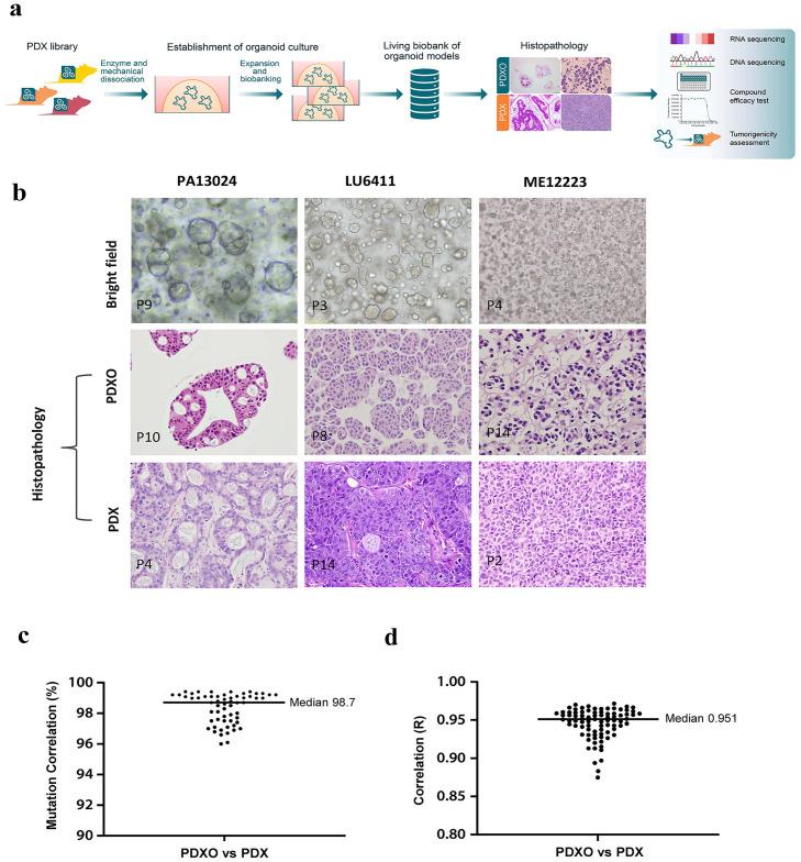 https://cdn.ncbi.nlm.nih.gov/pmc/blobs/4a56/9815646/906b06b5cae3/pone.0279821.g001.jpg