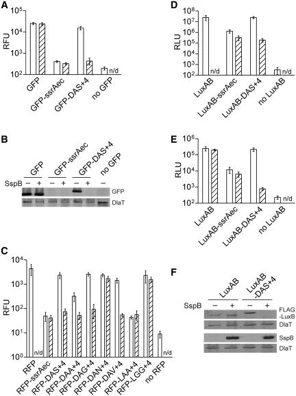 https://cdn.ncbi.nlm.nih.gov/pmc/blobs/4a57/3064785/f659da91d283/gkq1149f1.jpg