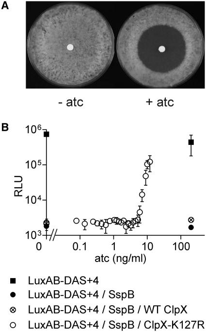https://cdn.ncbi.nlm.nih.gov/pmc/blobs/4a57/3064785/f6d58760291c/gkq1149f4.jpg