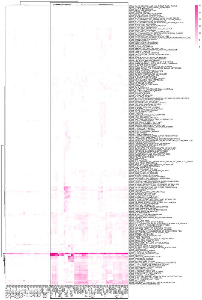 https://cdn.ncbi.nlm.nih.gov/pmc/blobs/4a58/10236252/8fad820b870c/ol-26-01-13876-g03.jpg