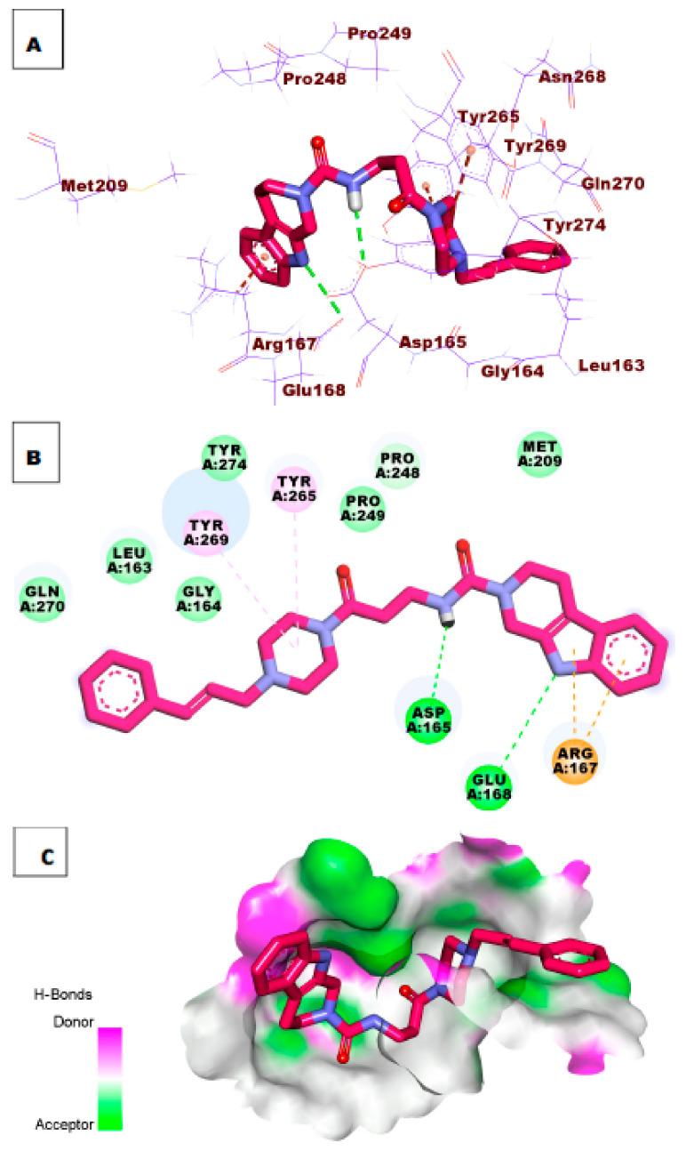 https://cdn.ncbi.nlm.nih.gov/pmc/blobs/4a5a/8588135/7a2cc2697dac/molecules-26-06593-g005.jpg