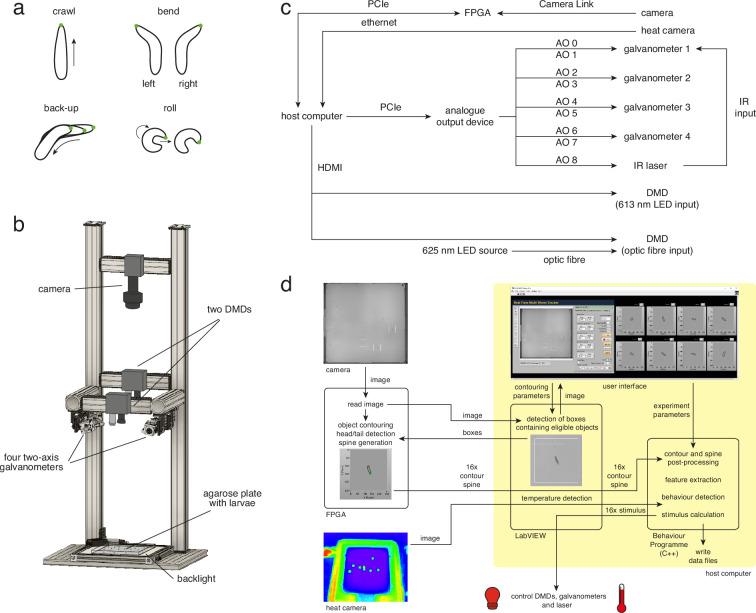 https://cdn.ncbi.nlm.nih.gov/pmc/blobs/4a5a/9678368/6c3d0915c8d8/elife-70015-fig1.jpg
