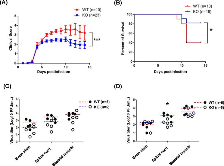 https://cdn.ncbi.nlm.nih.gov/pmc/blobs/4a5d/12210968/e544b68004b3/spectrum.03311-24.f002.jpg