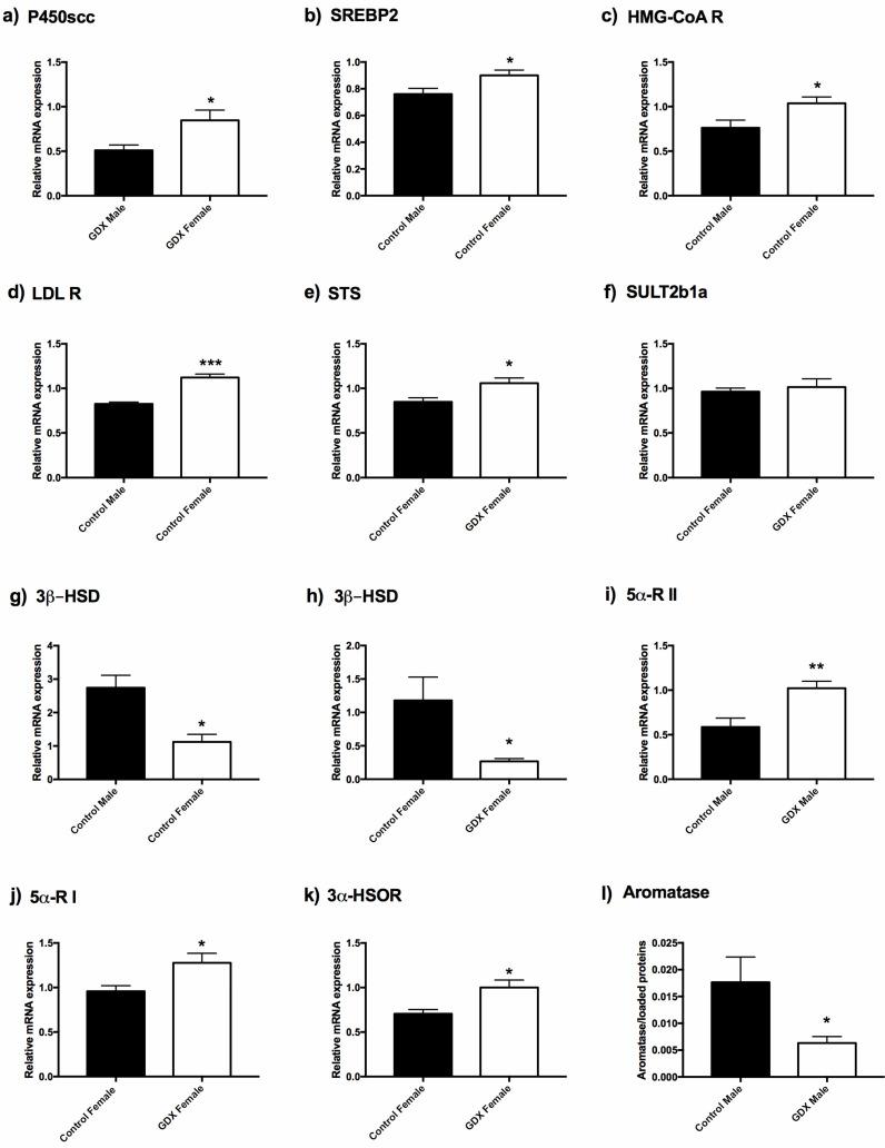 https://cdn.ncbi.nlm.nih.gov/pmc/blobs/4a5f/9220917/18660bb765ae/biomolecules-12-00767-g002.jpg