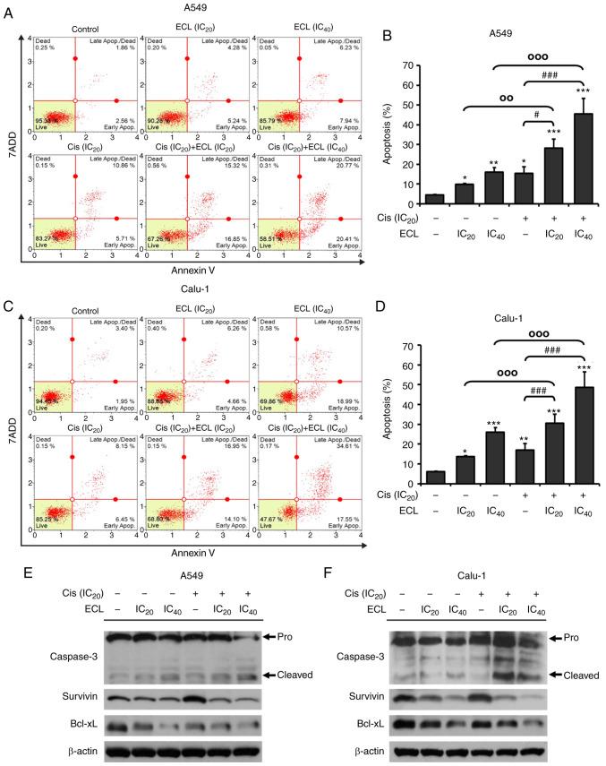 https://cdn.ncbi.nlm.nih.gov/pmc/blobs/4a60/7448543/4f4c898e4875/OR-44-04-1441-g06.jpg