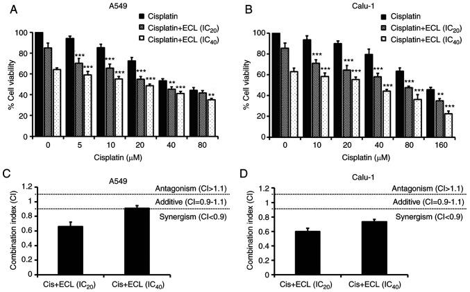 https://cdn.ncbi.nlm.nih.gov/pmc/blobs/4a60/7448543/eb1f7a7e46a3/OR-44-04-1441-g05.jpg