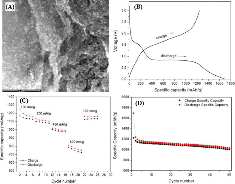 https://cdn.ncbi.nlm.nih.gov/pmc/blobs/4a61/5312914/88d474e0ba3d/nanomaterials-05-00755-g008.jpg