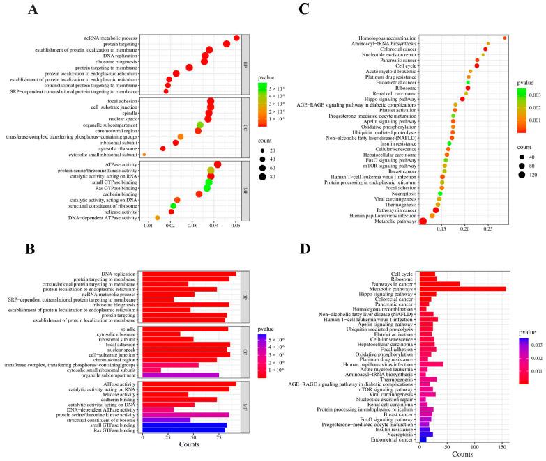 https://cdn.ncbi.nlm.nih.gov/pmc/blobs/4a65/11720441/3d9109acbcf3/ijms-26-00398-g004.jpg