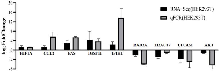 https://cdn.ncbi.nlm.nih.gov/pmc/blobs/4a65/11720441/670d73136848/ijms-26-00398-g005.jpg