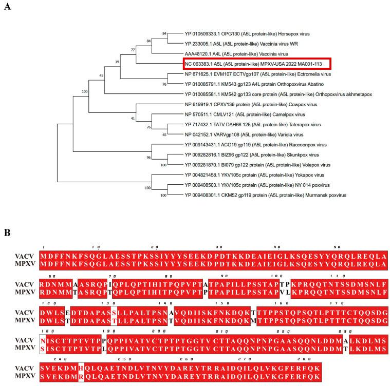 https://cdn.ncbi.nlm.nih.gov/pmc/blobs/4a65/11720441/879df9dd46ae/ijms-26-00398-g001.jpg