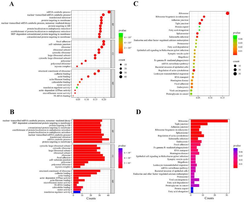 https://cdn.ncbi.nlm.nih.gov/pmc/blobs/4a65/11720441/abb0311c9135/ijms-26-00398-g006.jpg