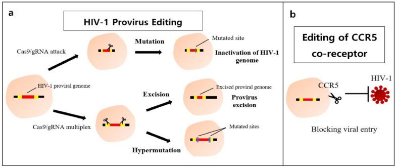https://cdn.ncbi.nlm.nih.gov/pmc/blobs/4a65/9713993/3206aab81f92/12981_2022_483_Fig3_HTML.jpg
