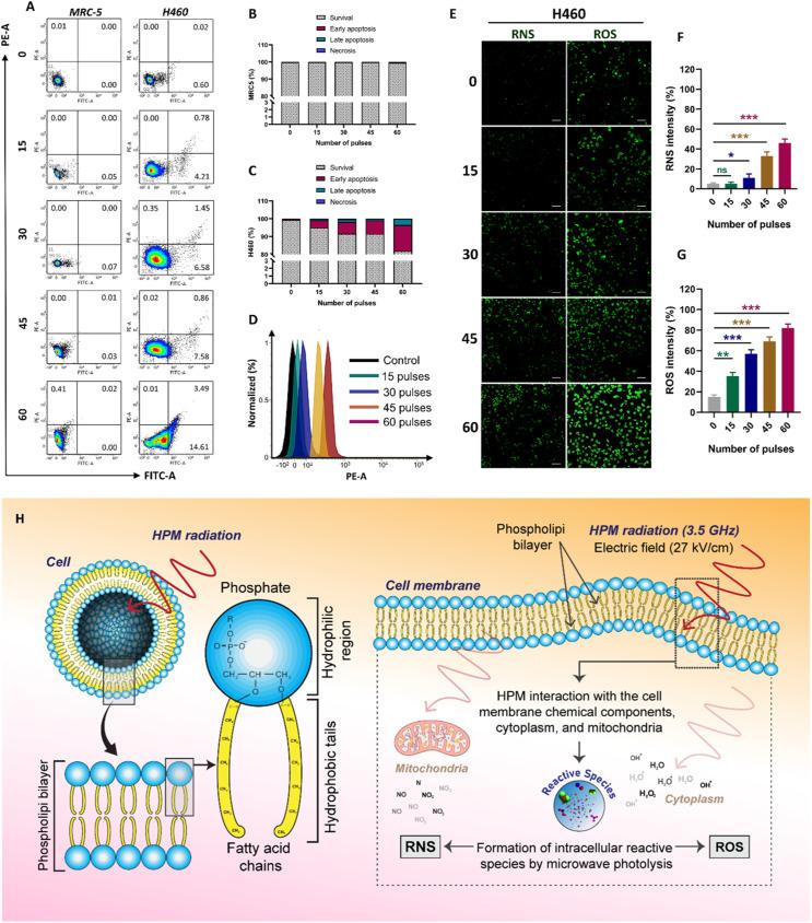 https://cdn.ncbi.nlm.nih.gov/pmc/blobs/4a67/11670698/826f6b99befe/gr3.jpg