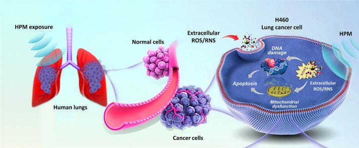 https://cdn.ncbi.nlm.nih.gov/pmc/blobs/4a67/11670698/85a75938fc0c/ga1.jpg
