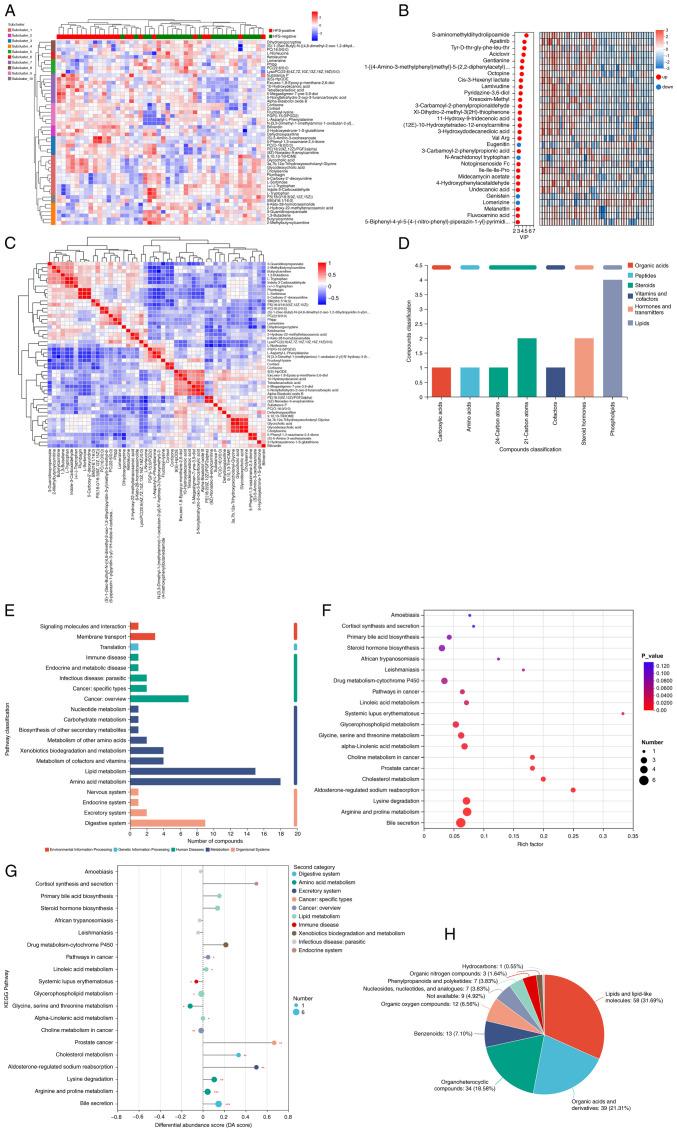 https://cdn.ncbi.nlm.nih.gov/pmc/blobs/4a67/12117538/f492d935a63b/mmr-32-01-13568-g01.jpg