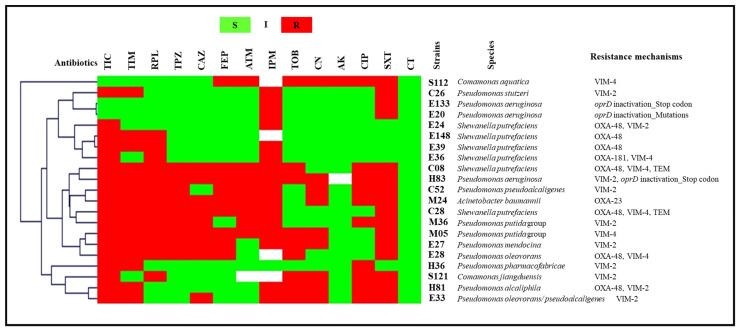 https://cdn.ncbi.nlm.nih.gov/pmc/blobs/4a68/9598638/4ea5c1ac6b76/antibiotics-11-01314-g003.jpg