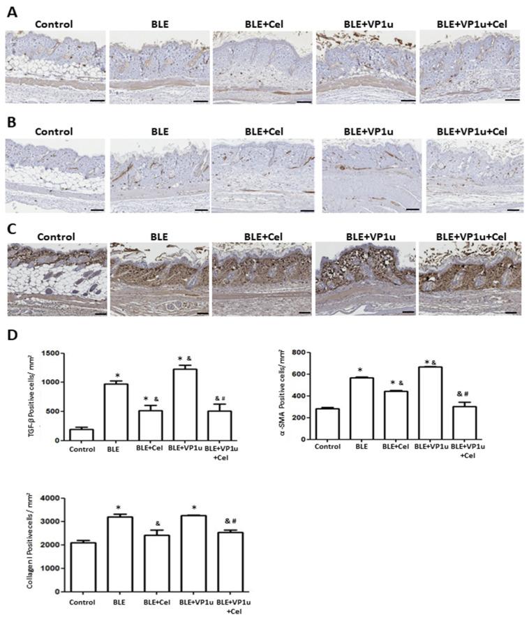 https://cdn.ncbi.nlm.nih.gov/pmc/blobs/4a6c/10607574/73416e28ec82/ijms-24-15294-g005.jpg