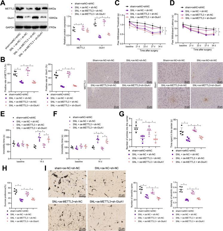 https://cdn.ncbi.nlm.nih.gov/pmc/blobs/4a6c/11775062/a0128e8ba479/10565_2024_9975_Fig5_HTML.jpg