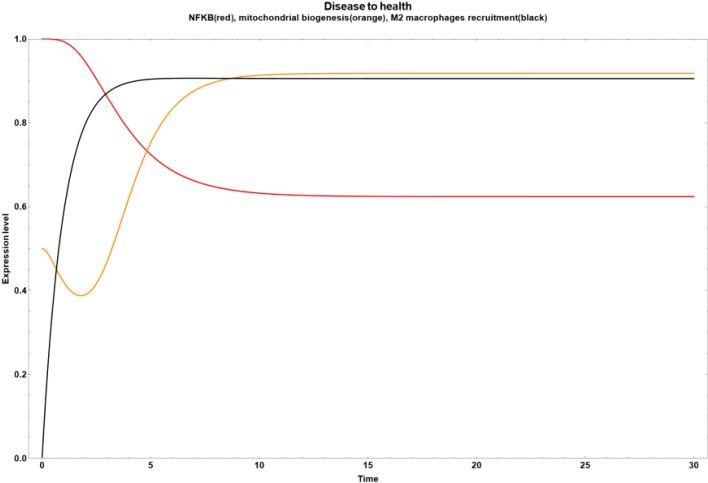 https://cdn.ncbi.nlm.nih.gov/pmc/blobs/4a6d/12106009/2deffc6e30b1/fendo-16-1578552-g004.jpg