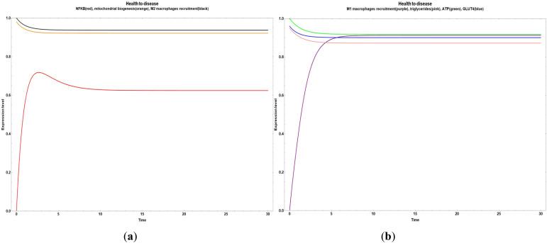 https://cdn.ncbi.nlm.nih.gov/pmc/blobs/4a6d/12106009/acd96255df73/fendo-16-1578552-g007.jpg