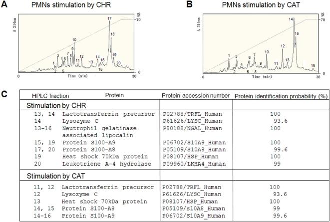 https://cdn.ncbi.nlm.nih.gov/pmc/blobs/4a6e/2639705/9eea8e780635/pone.0004501.g008.jpg