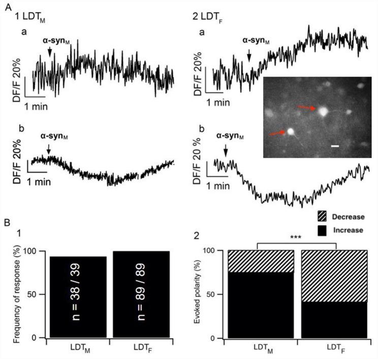 https://cdn.ncbi.nlm.nih.gov/pmc/blobs/4a6f/10500827/60f677ebb2e7/13578_2023_1105_Fig2_HTML.jpg